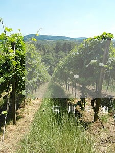 信用卡逾期10天有利息吗