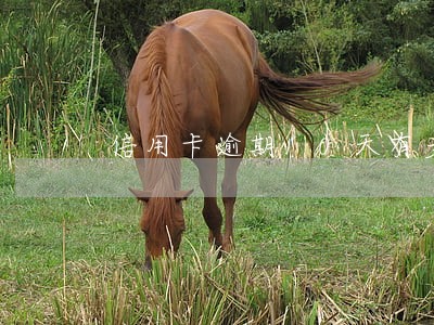 信用卡逾期10天有多少利息 信用卡逾期10天有多少利息