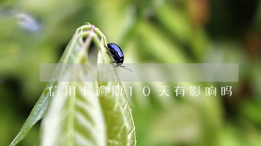 信用卡逾期10天有影响吗 信用卡逾期10天有影响吗