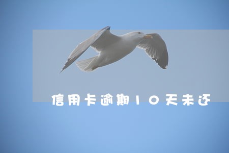 信用卡逾期10天未还 信用卡逾期10天未还