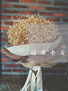 信用卡逾期10天算什么 信用卡逾期10天算什么