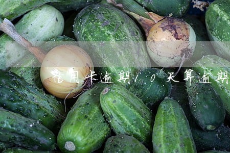 信用卡逾期10天算逾期不 信用卡逾期10天算逾期不