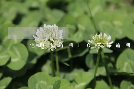 信用卡逾期10天算逾期吗 信用卡逾期10天算逾期吗