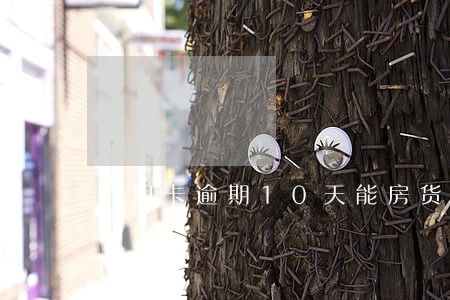 信用卡逾期10天能房货吗 信用卡逾期10天能房货吗