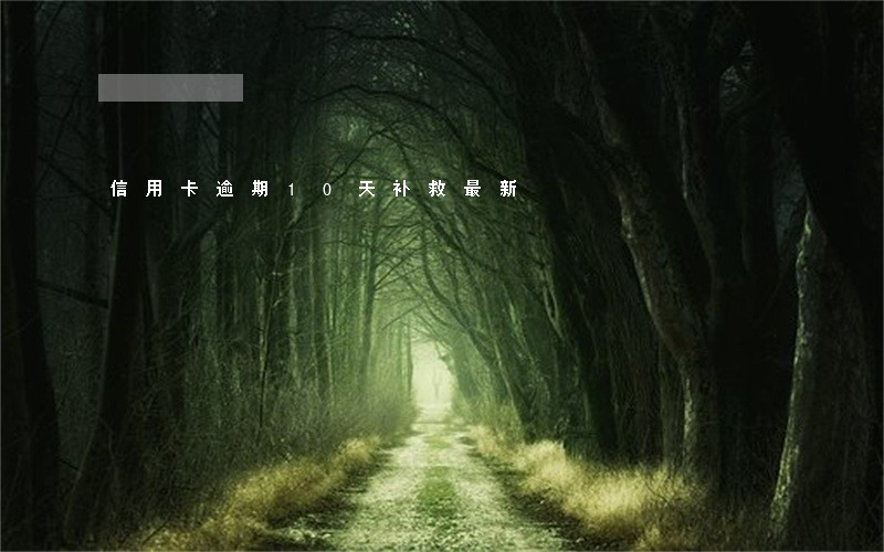 信用卡逾期10天补救最新 信用卡逾期10天补救最新