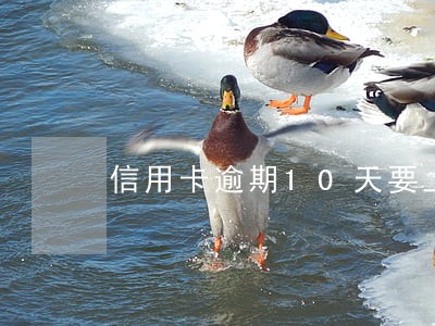 信用卡逾期10天要上征信吗 信用卡逾期10天要上征信吗