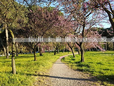 信用卡逾期10天要求全额还 信用卡逾期10天要求全额还