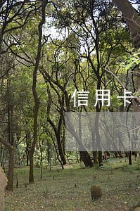 信用卡逾期10天该怎么处理 信用卡逾期10天该怎么处理