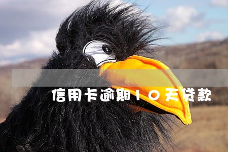 信用卡逾期10天贷款 信用卡逾期10天贷款