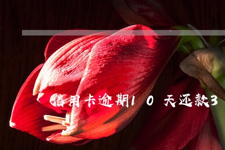信用卡逾期10天还款300元 信用卡逾期10天还款300元