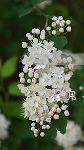信用卡逾期10天还款会被拘留吗 信用卡逾期10天还款会被拘留吗