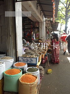 信用卡逾期10天还清会上征信吗 信用卡逾期10天还清会上征信吗