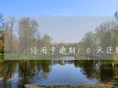 信用卡逾期10天还能贷款