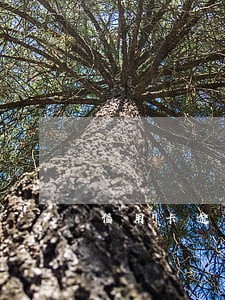 信用卡逾期10天锁卡
