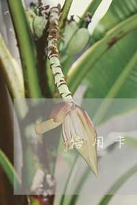 信用卡逾期10年还清呆账 信用卡逾期10年还清呆账