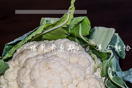 信用卡逾期10年还能协商吗 信用卡逾期10年还能协商吗
