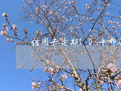 信用卡逾期10年都还不清 信用卡逾期10年都还不清