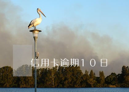 信用卡逾期10日