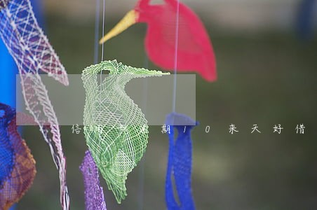 信用卡逾期10来天好借贷嘛 信用卡逾期10来天好借贷嘛