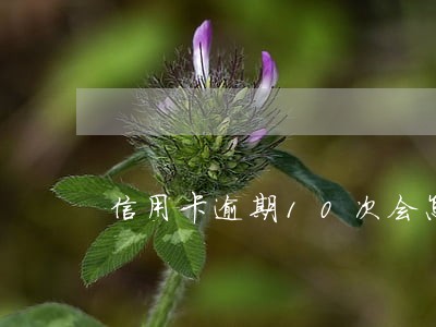 信用卡逾期10次会怎么样 信用卡逾期10次会怎么样