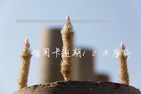信用卡逾期10次房贷 信用卡逾期10次房贷