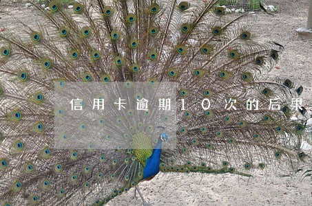 信用卡逾期10次的后果