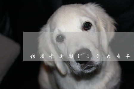 信用卡逾期110天有事吗 信用卡逾期110天有事吗