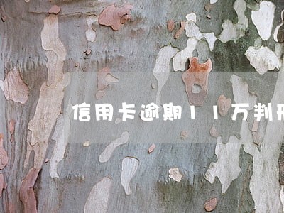 信用卡逾期11万判刑吗 信用卡逾期11万判刑吗