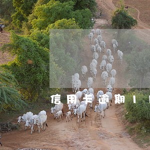 信用卡逾期11万还不上 信用卡逾期11万还不上