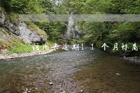 信用卡逾期11个月协商停息 信用卡逾期11个月协商停息