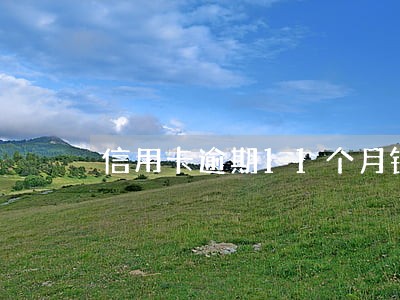 信用卡逾期11个月银行找上门 信用卡逾期11个月银行找上门