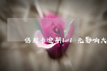 信用卡逾期11元影响大么 信用卡逾期11元影响大么