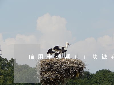 信用卡逾期11块钱有影响吗
