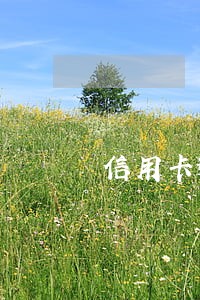 信用卡逾期11天上征信 信用卡逾期11天上征信