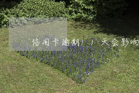 信用卡逾期11天会影响 信用卡逾期11天会影响