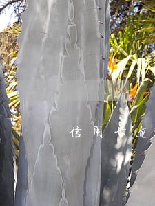 信用卡逾期11天会影响吗 信用卡逾期11天会影响吗