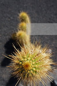 信用卡逾期11天有危险吗 信用卡逾期11天有危险吗