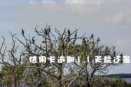 信用卡逾期11天能还最低吗 信用卡逾期11天能还最低吗