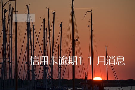 信用卡逾期11月消息 信用卡逾期11月消息