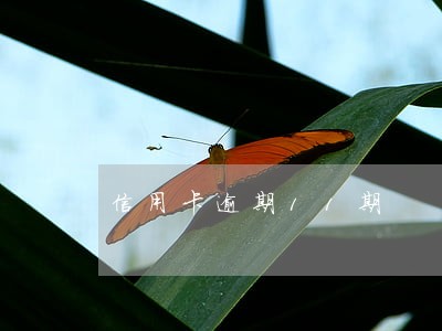 信用卡逾期11期 信用卡逾期11期
