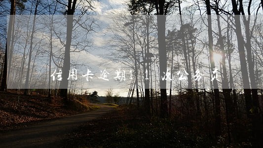 信用卡逾期11次公务员 信用卡逾期11次公务员