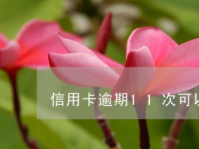 信用卡逾期11次可以贷款吗 信用卡逾期11次可以贷款吗