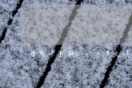 信用卡逾期11次多久消除