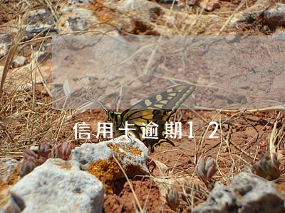 信用卡逾期12 信用卡逾期12