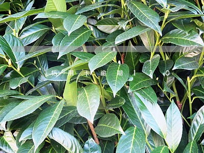 信用卡逾期120 信用卡逾期120