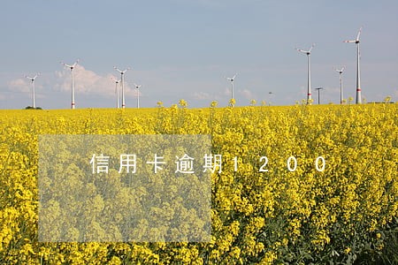 信用卡逾期1200 信用卡逾期1200