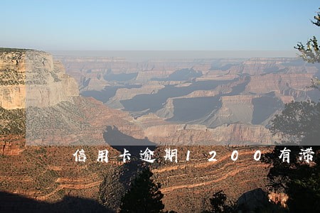 信用卡逾期1200有滞纳金么