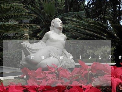 信用卡逾期120天咋办 信用卡逾期120天咋办