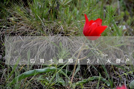 信用卡逾期121天资产 信用卡逾期121天资产