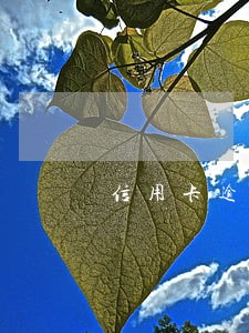 信用卡逾期122天怎么办